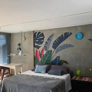 Zona Libre Campestre , Medellín Colombia