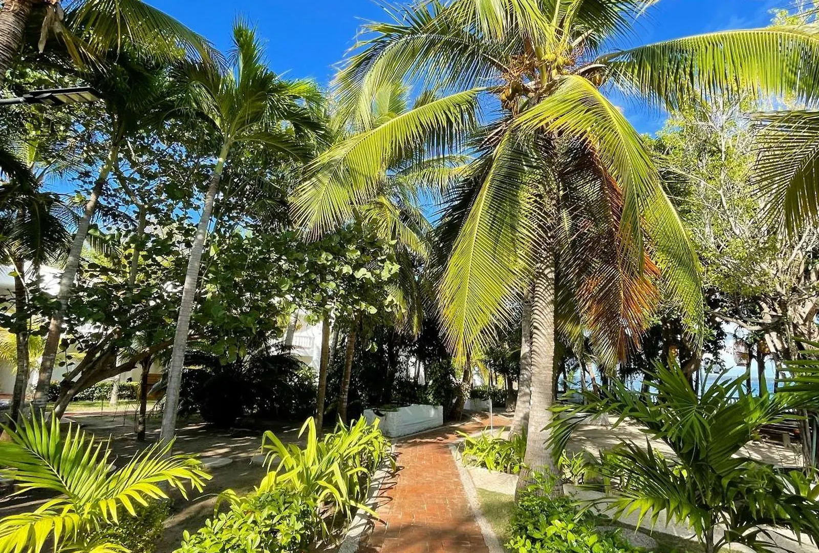Hotel Cocoliso Island Resort Isla Grande  3*, Isla Grande (Cartagena) Colombia
